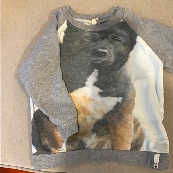 POPUPSHOP Dog Sweatshirt - 3-4yr - Picture 2 of 3